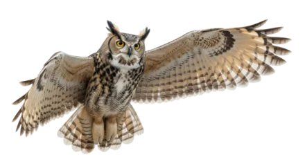 Fotobehang Uil Isolated Great Horned Owl flying gracefully, spreading its wings for flight, predatory bird  © Leon