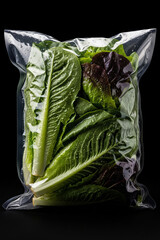 Vacuum Sealed Lettuce in Plastic Bag – Fresh Lettuce Vacuum Packed, Hyperreal Studio Product Photography with High Detail, Hard Plastic Reflection, Black Background, 50mm Eye-Level Shot
