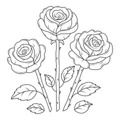 Three black line roses, vector monochrome rose bouquet