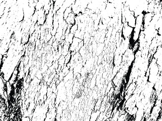 Grunge wood skin texture overlay vector design