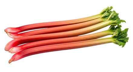 Isolated rhubarb stalks, fresh spring vegetable, organic farm to table food for pie or compote