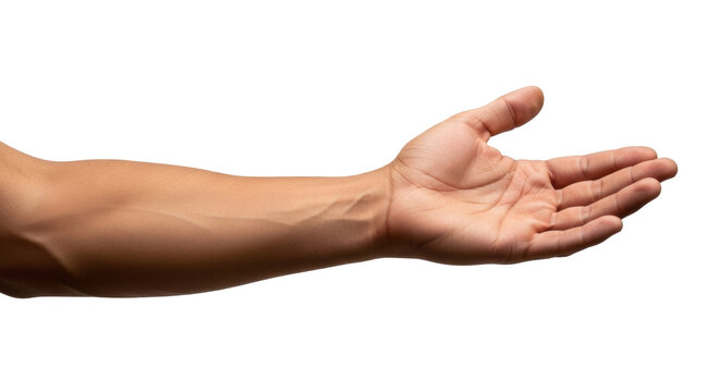 Isolated forearm and hand in an outstretched position reaching to receive or give help or gift
