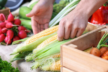 Farmer near stall with different fresh vegetables at market, closeup