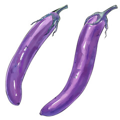 Vector illustration set, eps format, My Watercolor illustration, sliced long eggplant painting isolated on a white background, EPS painting design