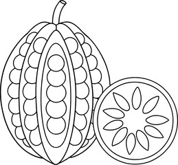Outline sketch of babaco fruit and slice with seeds and pulp for culinary design and educational artwork