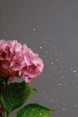 Pink hydrangea blooms with scattered gold flecks on gray