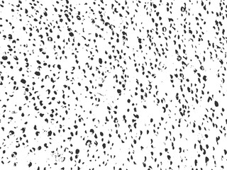 High resolution seed texture vector graphic design