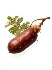 Fresh Tamarind Fruit with Leaf on White Background