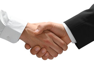 Side View of Networking Handshake Between Professionals, Realistic Perspective, Isolated