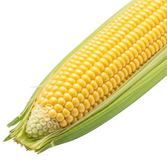 Fresh ripe yellow corn cob with green husks isolated on transparent background