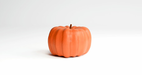 Ripe pumpkin isolated on clean bright background