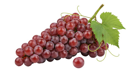 Isolated bunch of red grapes with green leaf, fresh natural organic fruit for food concepts