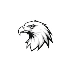 Fototapeta premium Eagle head illustration, vector graphic