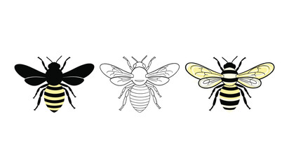 Three bees in different styles black silhouette line drawing and colored illustration insect animal
