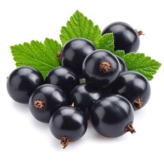 Fresh black currants on white background
