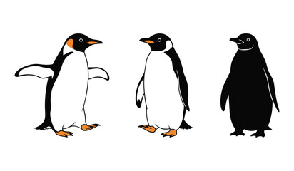Naklejka premium Three cartoon penguins black white orange feet white background illustration