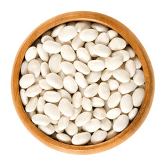 White navy beans in wooden bowl