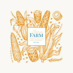 Hand Drawn Vector Sweet Corn Illustration. Not AI Generated. Autumn Seasonal Background. Fall Season Farm Banner. Vintage Harvest Design Template.