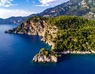 Coastal Landscape with Lush Vegetation.