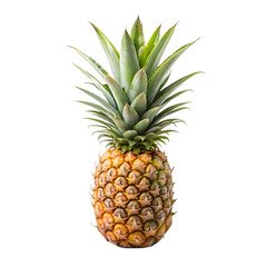 Fototapeta premium A ripe, juicy pineapple with a green leafy crown, isolated on a clean transparent background