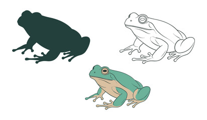 Three stylized frogs one silhouette one outline one colored illustration amphibian