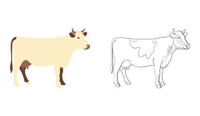 Two cows one colored and one outline on white background cattle animal
