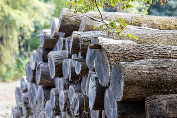 Obraz premium icicles on the roof