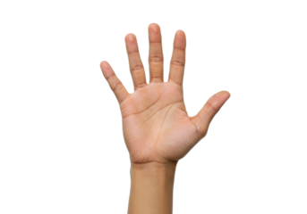 Isolated Human hand showing five fingers palm up reaching out inviting and open gesture