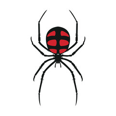 Black spider icon logo. Black widow spider. Company and business logo templates