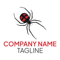 Black spider icon logo. Black widow spider. Company and business logo templates