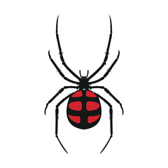 Black spider icon logo. Black widow spider. Company and business logo templates