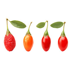 Goji Berry set of young to mature fruits isolated for food design