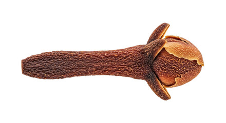 Isolated aromatic dried clove for culinary and medicinal use against a plain background