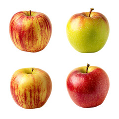 Honeycrisp apples collection of young and mature fruits isolated