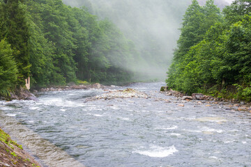 Fast mountain river and whitewater through forest Firtina Valley, Camlıhemsin, Rize, Turkey