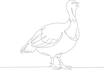 Fototapeta premium Minimalist Single Line Art Turkey Bird Illustration Thanksgiving Celebration