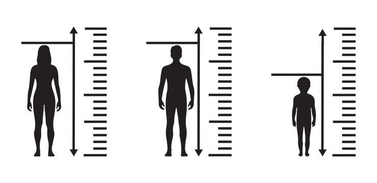 Collection of Human Height Growth Measurement Icon Set &ndash; Person Silhouette with Ruler Scale and Fitness Body Size Vector design