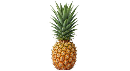 Isolated tropical ripe pineapple fruit with green leaves for healthy eating concepts