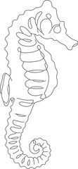 Minimalist Outline Single Line Seahorse Marine Life Aquatic Animal Illustration