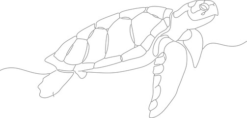 Simple Outline Hand Drawn Sea Turtle Floating in Water Illustration