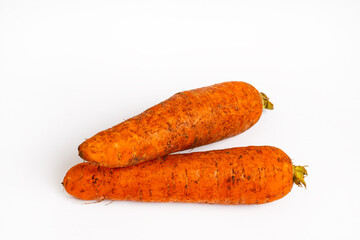 Two fresh dirty carrots. Freshly dug carrots. Dirty carrot with ground isolated on white background.