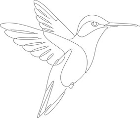 Simple Line Art Hummingbird Flying Silhouette Isolated Elegant Animal Illustration