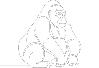 Continuous Line Drawing Detailed Gorilla Wildlife Mammal Illustration