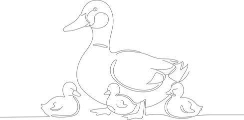 Minimalist Continuous Line Art Duck and Duckling Animal Wildlife Illustration
