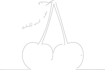 Simple Outline Drawing Two Cherry Fruit Food Sweet Icon Line