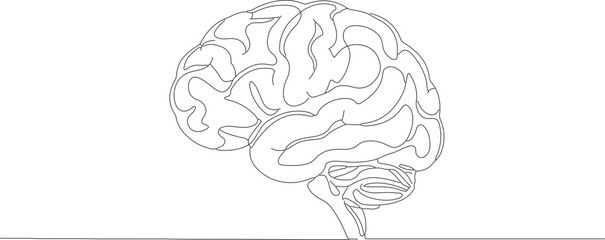 Minimalist Single Line Art Style Human Brain Anatomy Illustration