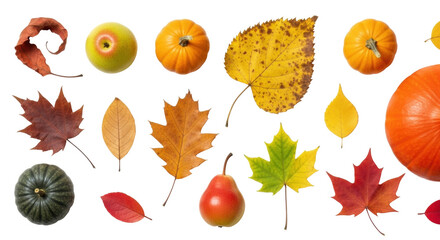 Isolated colorful autumn still life with pumpkin, leaves, pear, and apple, harvest season