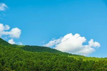Fototapeta premium 青空と里山