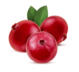 Bunch cranberry. Berry with green leaf