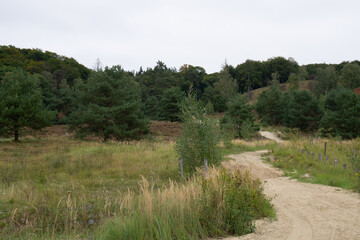 Region Teutoburger Wald